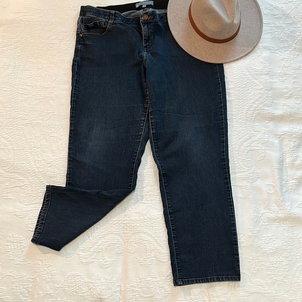 Wit & Wisdom Comfort Stretch Jeans Size 16W